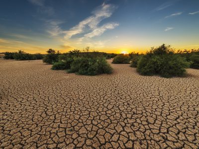 طقوس التَّشريب وأهازيج "شِحدة" المطر