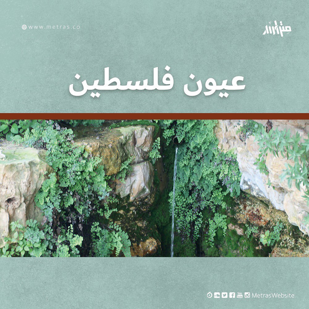 عيون فلسطين