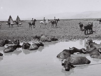 عشية الهجيج