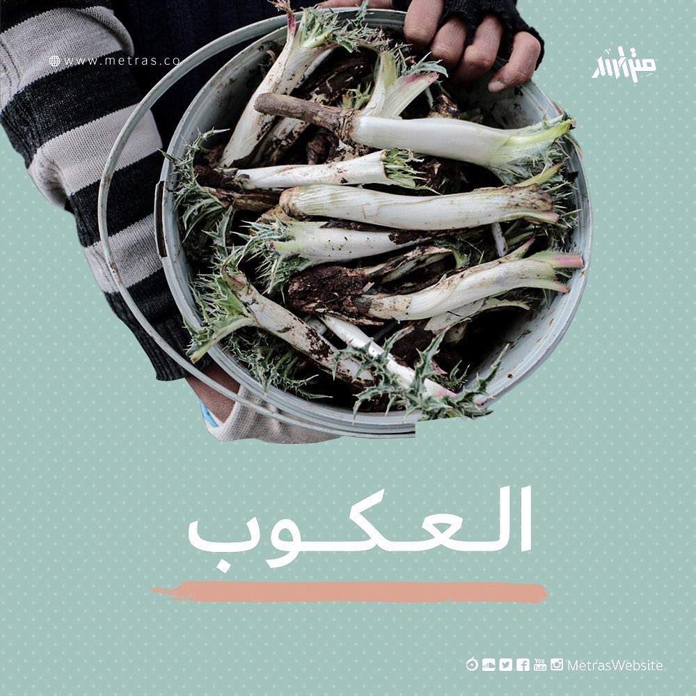 العكوب