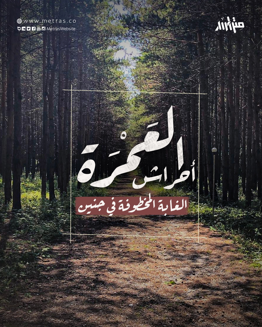 أحراش العَمْرَة: الغابة المخطوفة في جنين