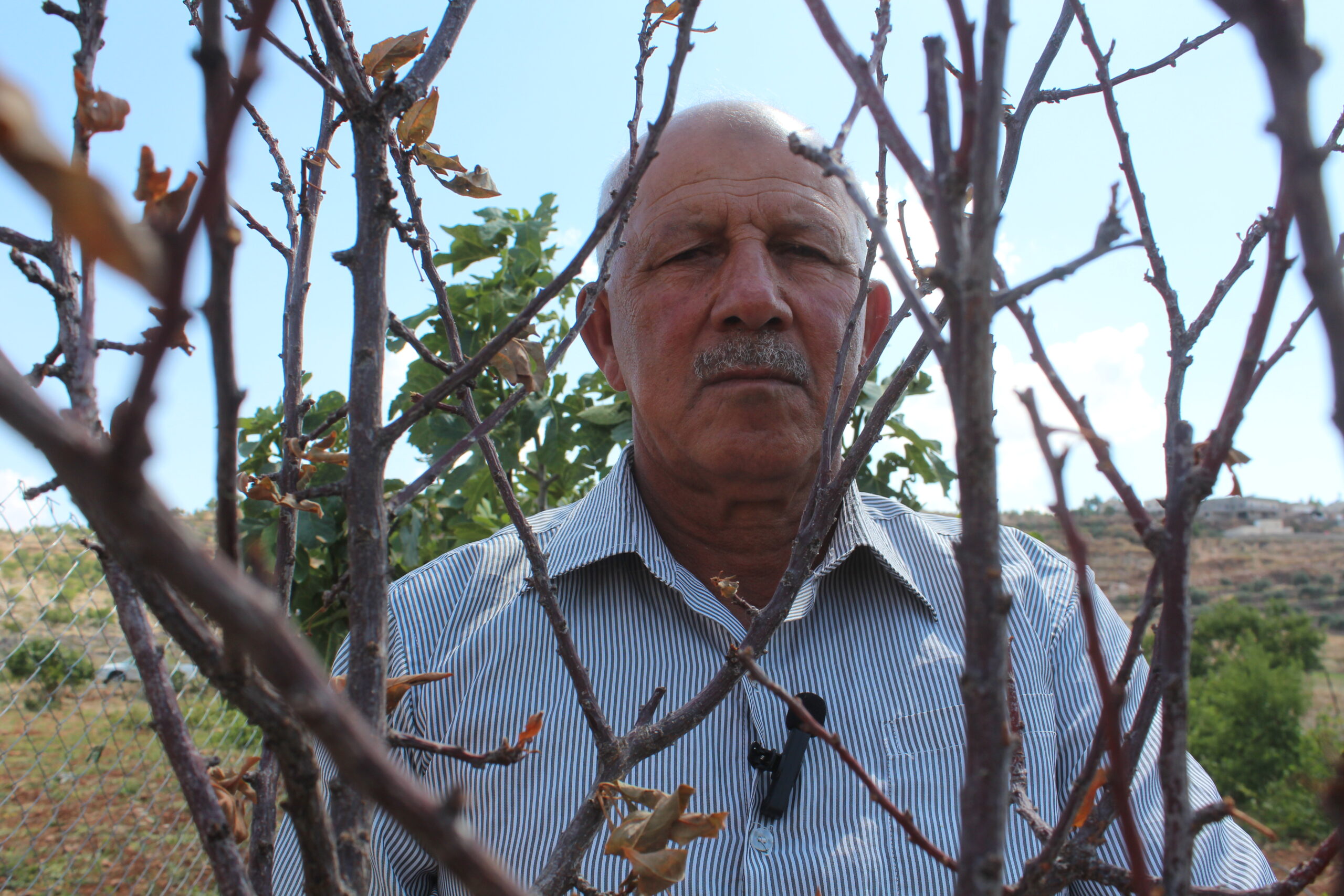 الستينيّ ياسر يقف خلف ما تبقى من شجرة اللوز التي دمرها المستوطنون في أرضه. (عدسة: شذى حمّاد).