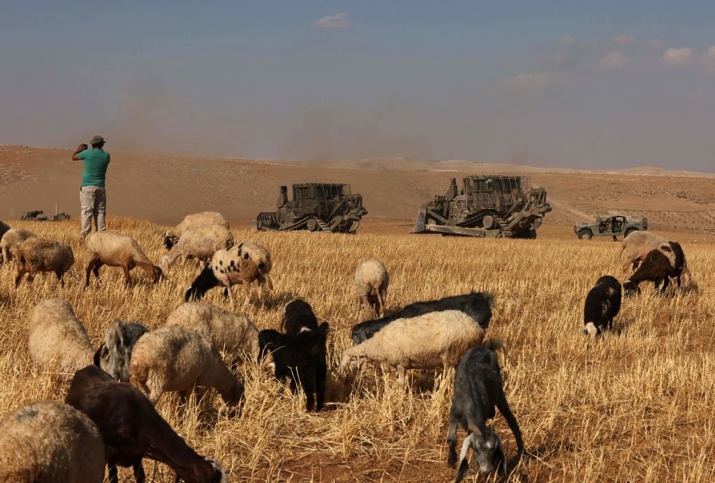 قطيع من الماعز والخرفان ترعى بالقرب من مسافر يطا جنوب الخليل، بينما تمرّ بالقرب منها آليات عسكرية لجيش الاحتلال تشارك في تدريب عسكري. يونيو/ حزيران 2022. (وكالة الصحافة الفرنسية).