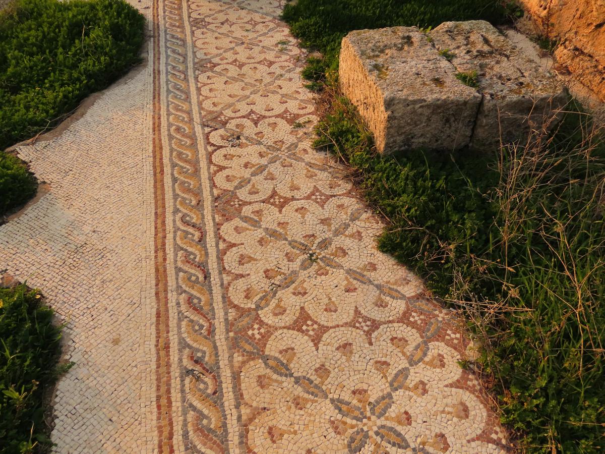 بقايا فسيفساء في موقع كنيسة من القرن السادس الميلادي، في موقع تل السمك في حيفا. (Shutterstock).